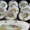 German Fish Plates 14 pc. Set - Image 2